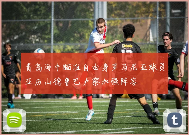 青岛海牛瞄准自由身罗马尼亚球员亚历山德鲁巴卢察加强阵容